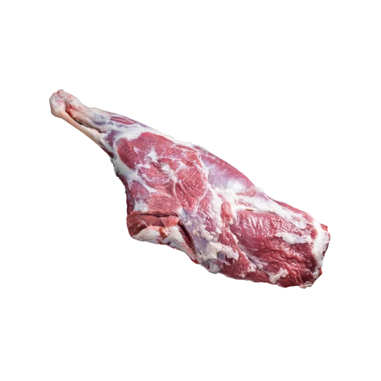 Sheep Leg