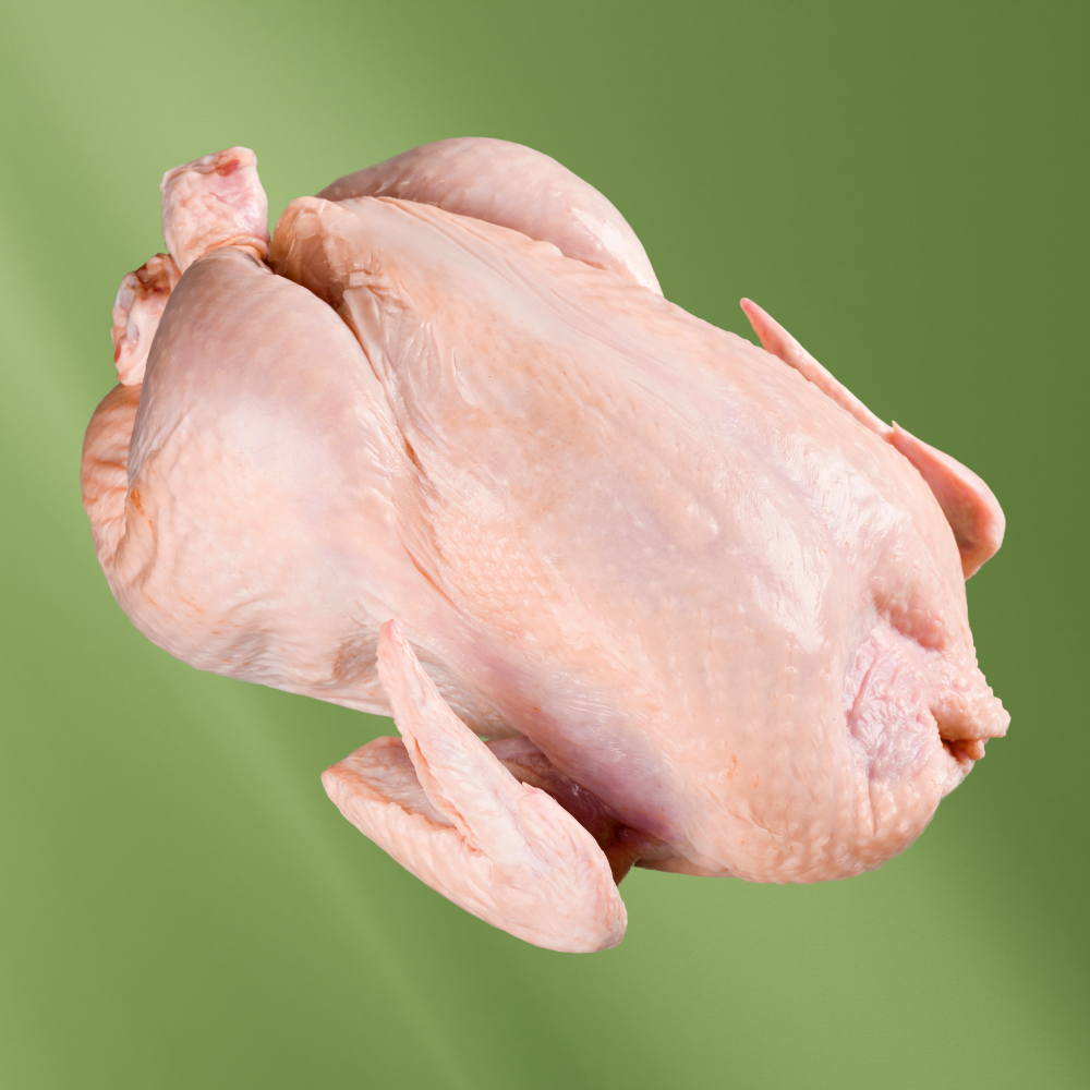 Chicken