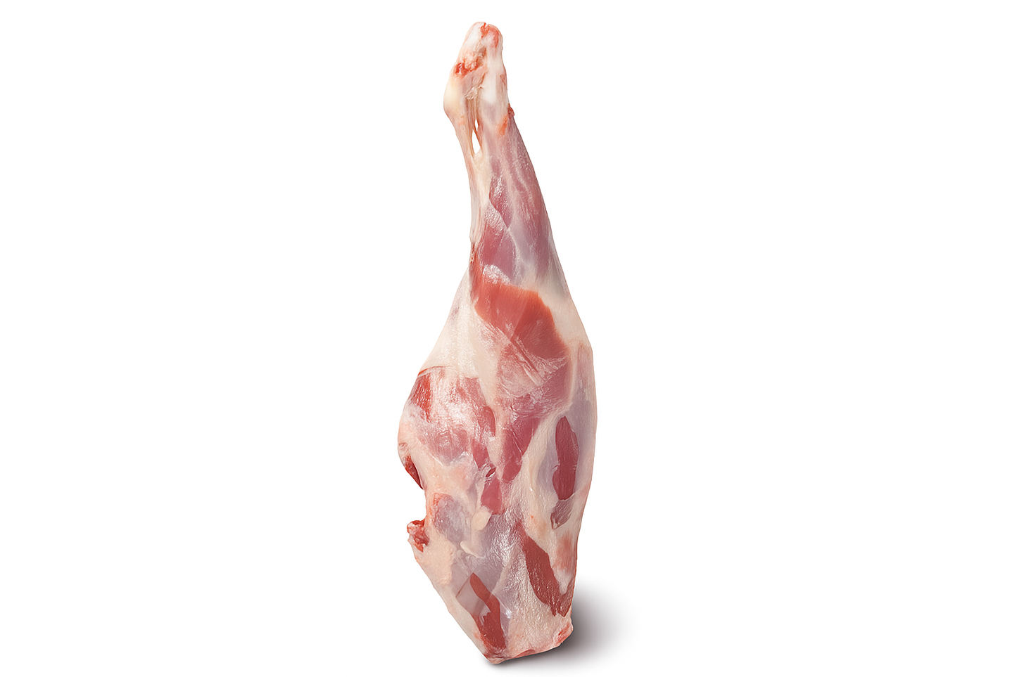 Sheep Leg