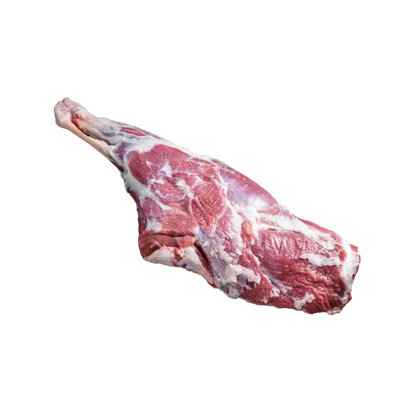 Sheep Leg