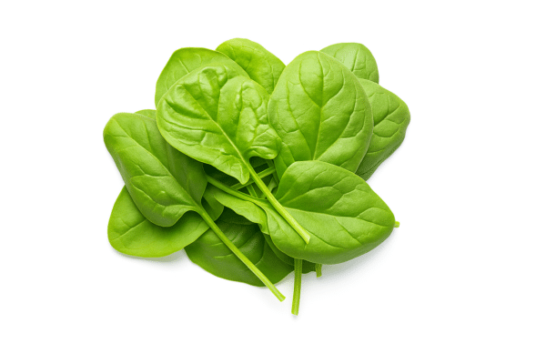 Spinach