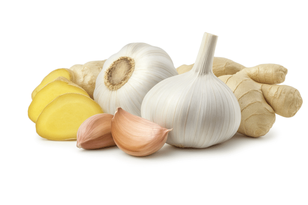 Ginger & Garlic