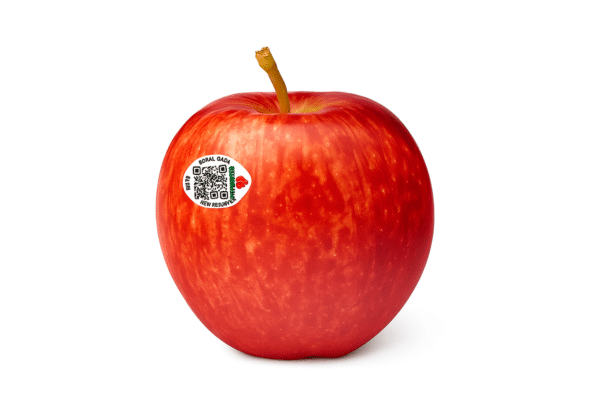 Apple Royal Gala