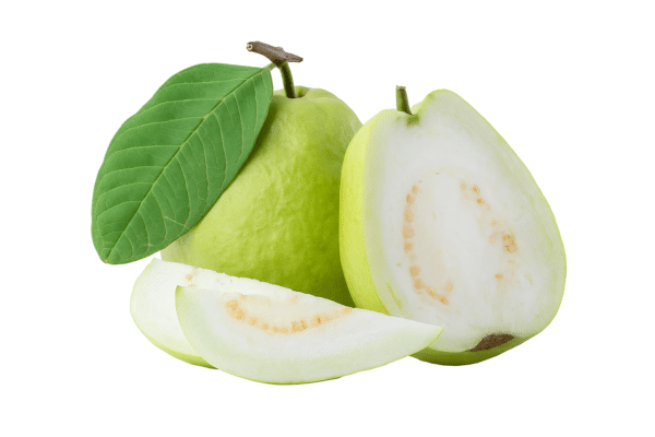 Guava