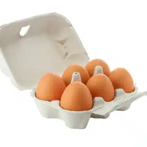 Large Eggs 6 pack