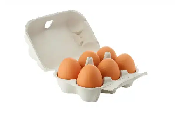 Large Eggs 6 pack