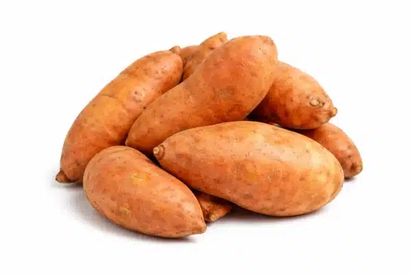 Sweet Potato