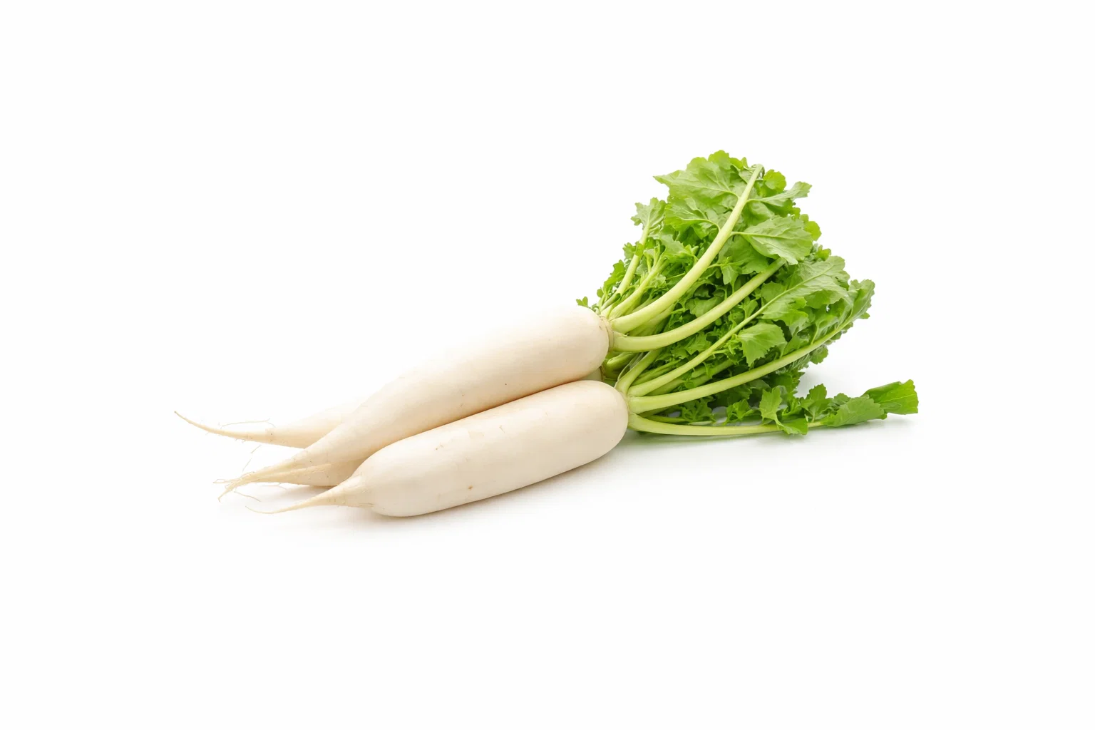 Radish (Mooli)