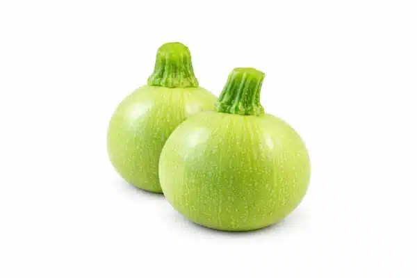 Apple Gourd (Tindi)