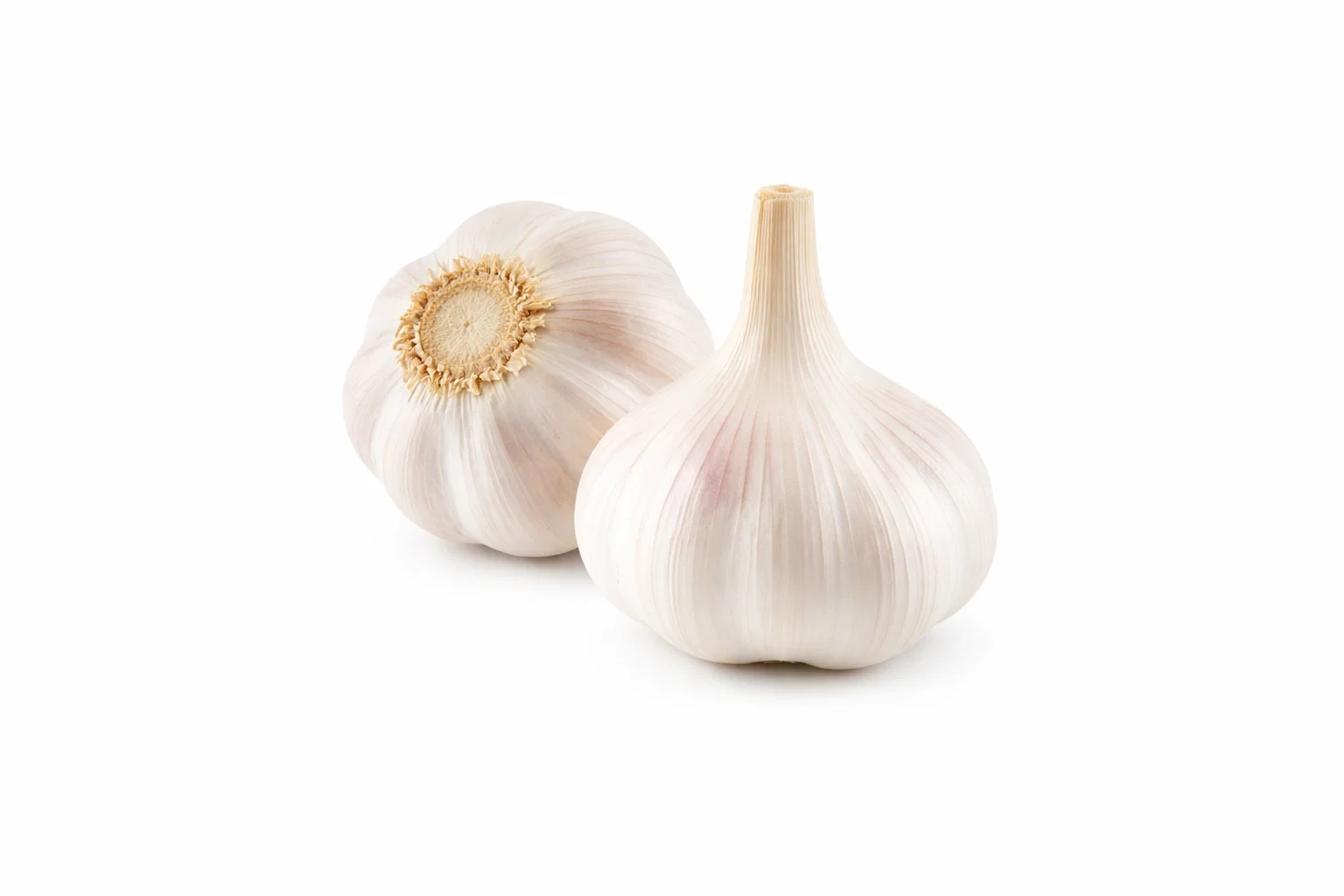 Garlic Loose