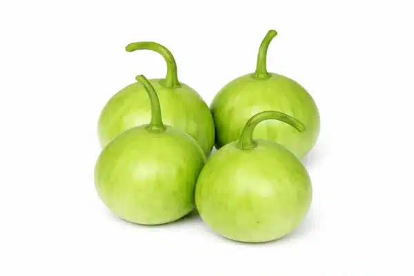 Round Gourd ( kado)