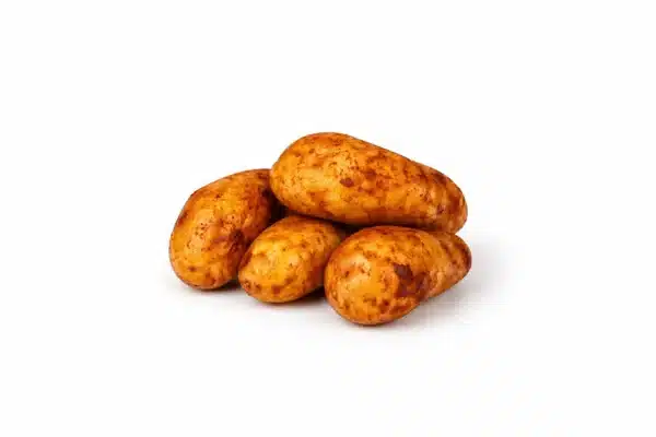 Cyprus Potato