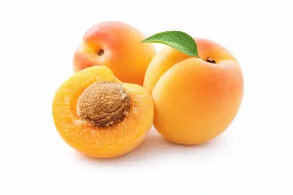 Apricot