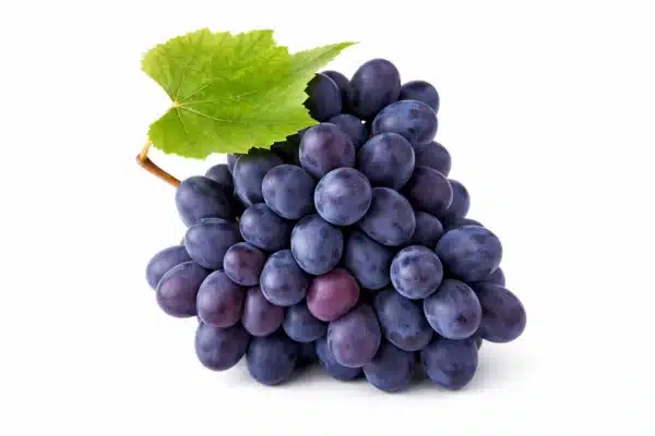 Grapes Black
