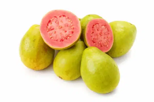 Guava Egypt