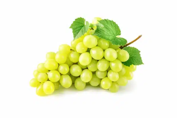 Grapes Sultana