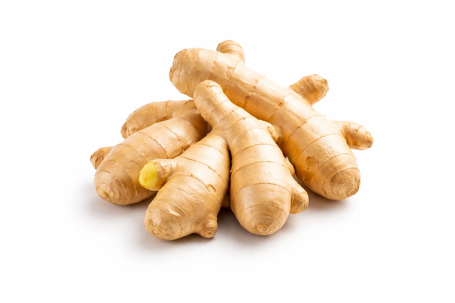 Ginger