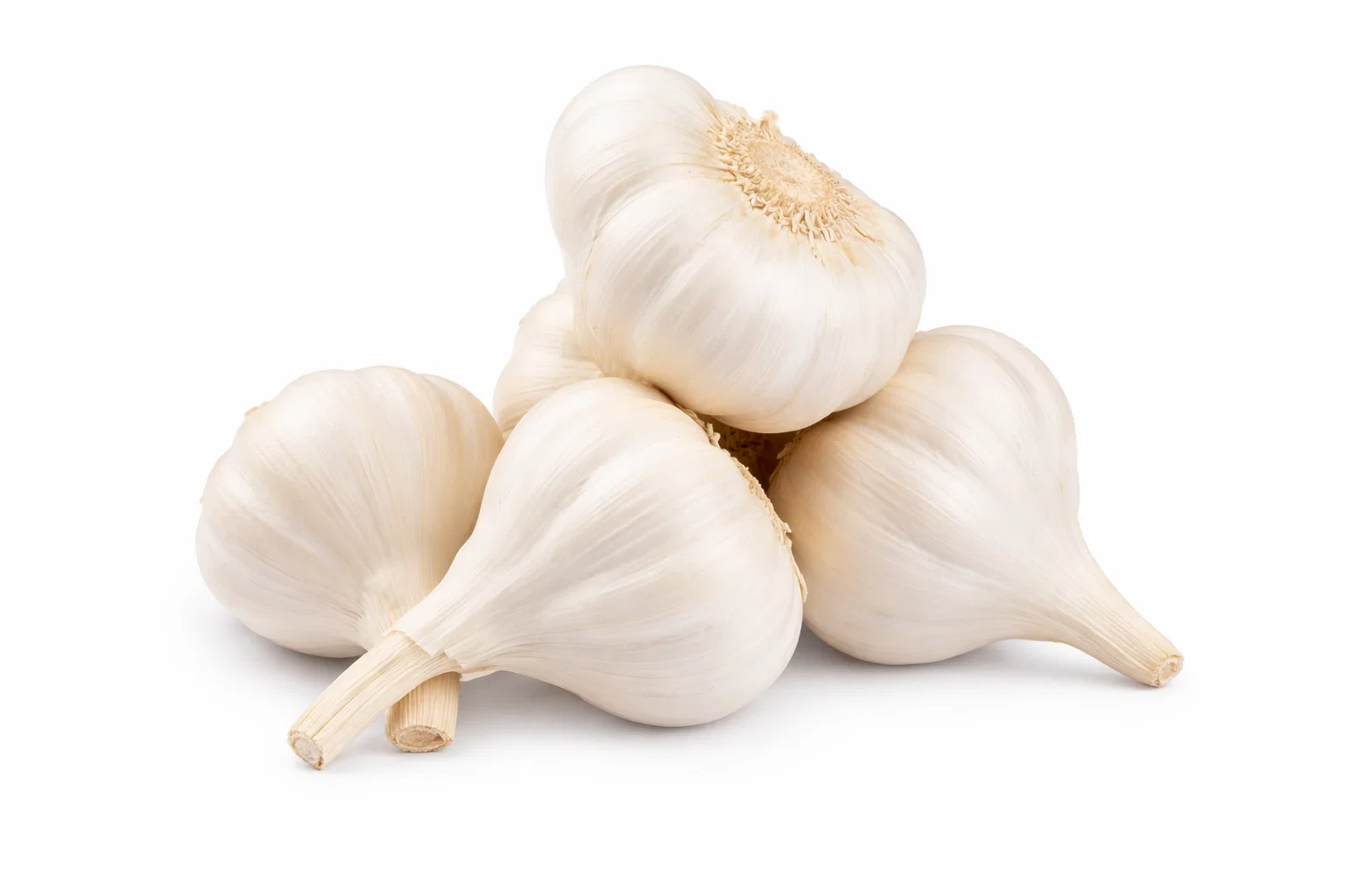 Garlic PP no 20