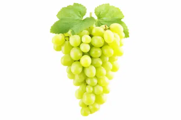 Grapes Green loose
