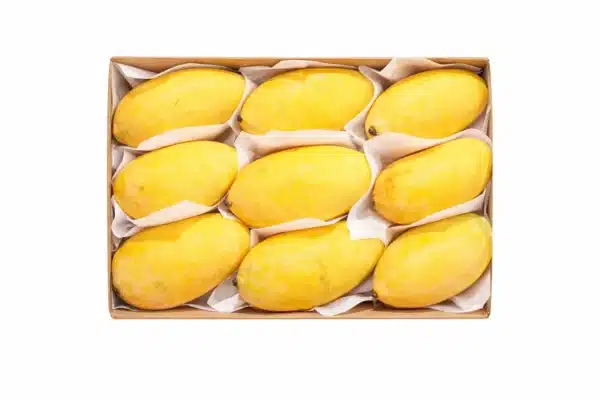 Mangoes Sindhri