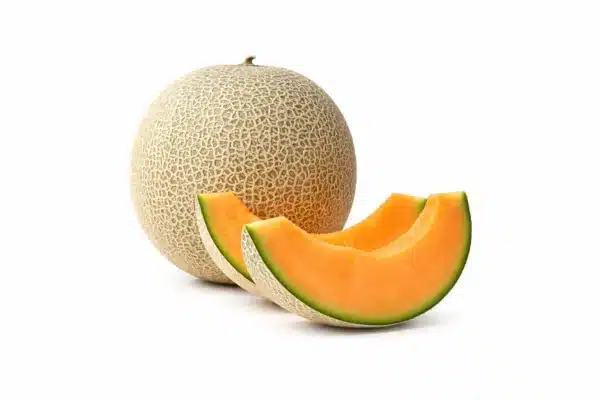 Melon Cantalope