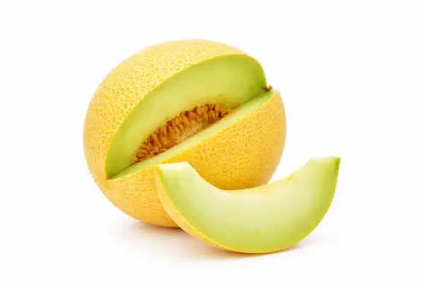 Melon Galia