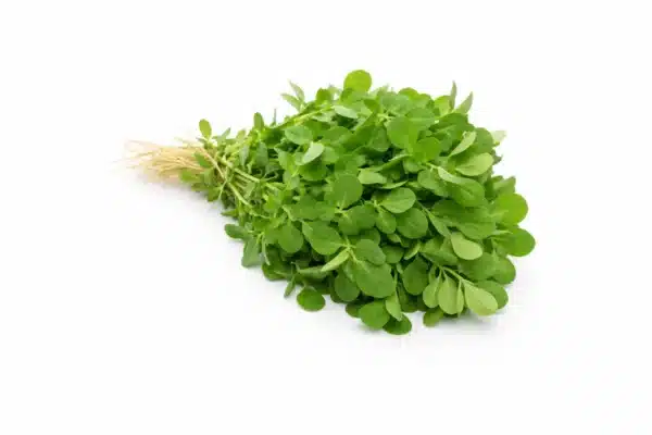 Methi