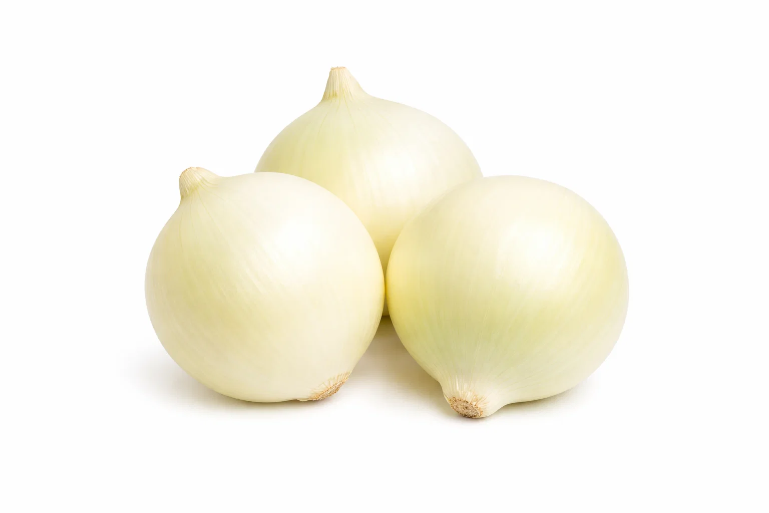 Onion White
