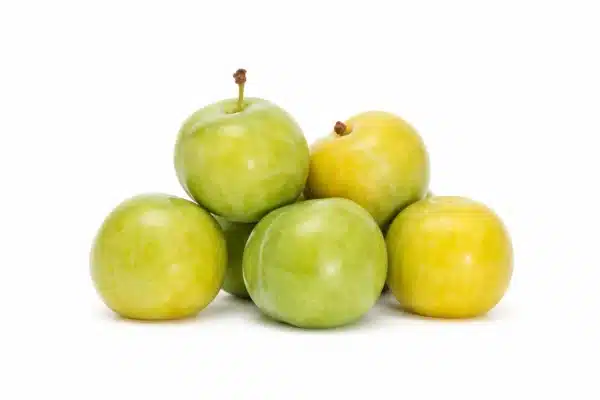 Plums Green