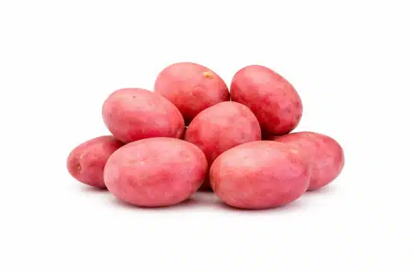 Potato Red 5 KG