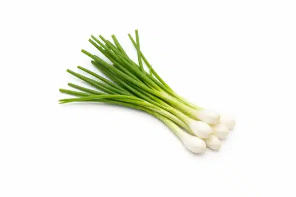 Spring Onion