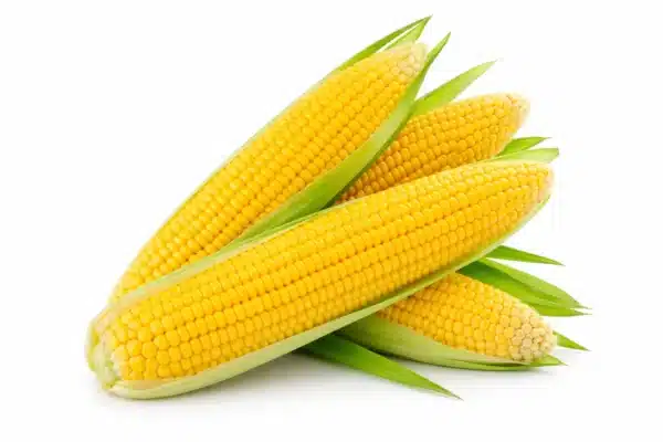 Sweet Corn