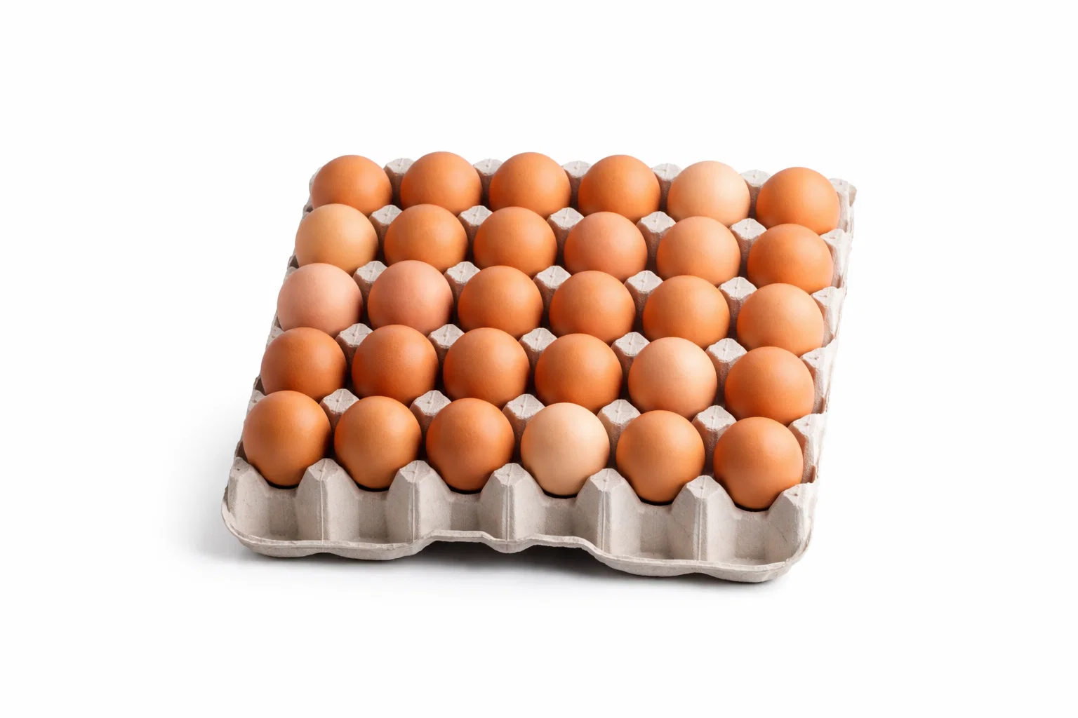 Eggs Tray 30