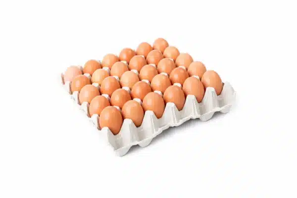 Medium Eggs Tray