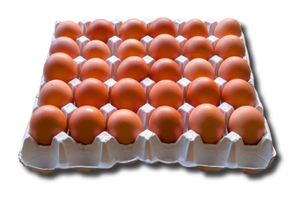 Free Range Eggs – Tray of 30